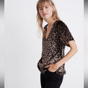 Madewell Velvet Tulip-Sleeve Ruffle Top in Petite Blooms
